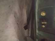 Türfangband Türbremse Türstopper - Vorne Linke Seat Alhambra, 1996.08 - 2000.05 Gebraucht,