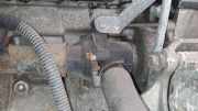 Thermostat Rover 200, 1995.10 - 2000.03 Gebraucht ,