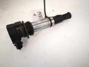 Zündspule Cadillac CTS, 2003.01 - 2007.12 0221604104, 12583514