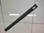 Einstiegsleiste vorne rechts Renault Megane, II 2002.11 - 2006.06 Gebraucht,