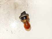 Glühbirnenfassung Blinker Ford Focus, 2008.06 - 2011.04 facelift Gebraucht,