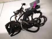 Kabelbaum Opel Insignia A, 2008.01 - 2013.01 Gebraucht,