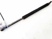 Gasdruckfeder Kofferraum BMW 5-Series, E39 1995.11 - 2003.06 51248222913,