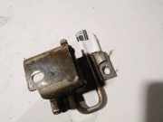 Türscharnier Hinten Volkswagen Polo, IV 2005.04 - 2009.11 facelift Gebraucht, BNM