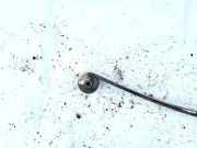 Blattfeder Hinten Volkswagen Caddy, III 2004.03 - 2010.09 Gebraucht, BDJ