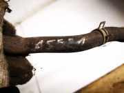 Kühlerschlauch Nissan Almera, N16 2000.06 - 2003.01 Gebraucht,