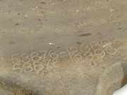 Radhausschale - Vorne Linke Toyota Auris, I E15 2006.10 - 2012.10 5387612380, 53876-12380 53876-12390 5387612390