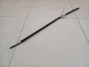 Zierleiste Leiste - Vorne Rechts Renault Scenic, I 1999.09 - 2003.06 facelift Gebraucht ,