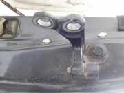 Türscharnier Hinten Ford C-MAX, 2003.01 - 2007.06 Gebraucht ,