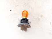 Gl?hbirnenfassung Blinker Peugeot 207, 2006.02 - 2009.06 Gebraucht,