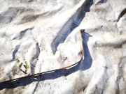 Halteband Kraftstoffbehälter Mercedes-Benz ML, W163 1998.02 - 2005.06 Gebraucht,