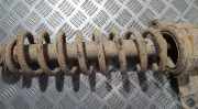 Fahrwerksfeder Hinterachse Audi 80, B4 1991.09 - 1995.01 Gebraucht,