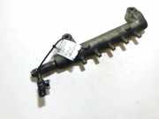 Kraftstoffverteiler Nissan X-Trail, 2001.06 - 2007.06 02G04, 6100