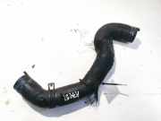 Kühlerschlauch Citroen Xsara, I 1997.04 - 2000.09 Gebraucht,