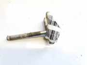 Injektorhalter Renault Laguna, III 2007.10 - 2010.11 Gebraucht,