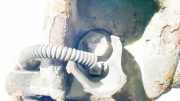 Sensor für ABS - Vorne Linke Citroen C3 Picasso, I 2009.02 - 2012.06 Gebraucht,
