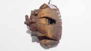 Bremssattel - Vorne Linke Opel Astra, G 1998.09 - 2004.12 Gebraucht,