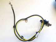 Kabelbaum Nissan Leaf, I 2010 - 2017.12 160720150, 1390a2b