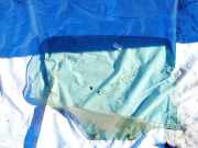 Seitenscheibe - Hinten Rechts Peugeot 207, 2006.02 - 2009.06 as2,