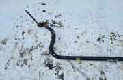 Stabilisator Vorne Volkswagen Bora, 1998.01 - 2005.12 Gebraucht, AHF