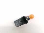 Glühbirnenfassung Blinker Renault Scenic, II 2003.06 - 2006.06 Gebraucht,