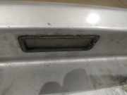 Kennzeichenleuchte Volkswagen Polo, V 2009.06 - 2014.01 Gebraucht, CFWA