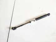 Gasfeder für Motorhaube Audi A4, B6 2000.11 - 2004.11 Gebraucht,