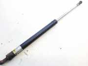 Gasdruckfeder Kofferraum Daewoo Lanos, I 1997.05 - 2006.12 Gebraucht,