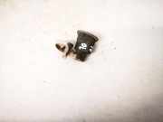 Schlie?zylinder Peugeot 306, 1997.07 - 2000.06 Gebraucht,