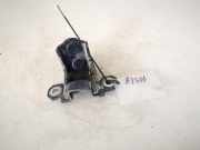 T?rscharnier Hinten Renault Vel Satis, 2002.06 - 2009.12 Gebraucht,