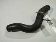 K?hlerschlauch Honda Civic, 2001.01 - 2005.09 Gebraucht,