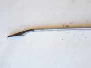 Dachreling Linke Renault Laguna, II 2001.03 - 2006.05 8200002177,A38