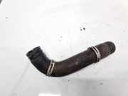 Kühlerschlauch Citroen C4 Picasso, II 2013.06 --> present Gebraucht,