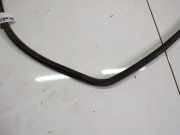 Zierleiste Leiste - Hinten Rechts Fiat Doblo, 2005.10 - 2009.08 Gebraucht ,