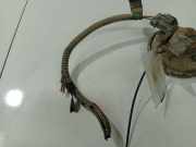 Hupe Opel Zafira, A 2003.11 - 2005.06 facelift Gebraucht,