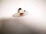 Blinkleuchte Kotfl?gel - Vorne Rechts Nissan Juke, I F15 2010.06 - 2019.06 saee208,