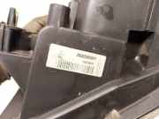 R?ckleuchten - Hinten Linke Renault Megane, III 2008.11 - 2012.06 265550008r,89319631