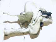 Scheibenwaschbehälter Vorne Wischwasserbehälter Mitsubishi Carisma, I 1995.07 - 2000.09 Gebraucht,
