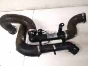 Intercooler Schlauch Citroen C5, II 2008.02 - 2011.01 Gebraucht,