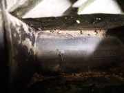 Luftfiltergehäuse Renault Laguna, II 2001.03 - 2006.05 8200028632,