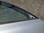 Zierleiste Leiste - Vorne Rechts Volkswagen Passat, B5 1996.08 - 2000.11 Gebraucht, AFN