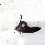 Gleitschiene Steuerkette Mazda 5, CR 2005.02 - 2010.09 Gebraucht,