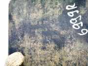 Radhausschale - Vorne Rechts Seat Altea, 2004.01 - 2015.12 5p0853970,