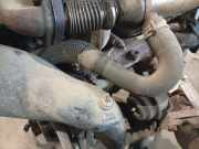 Kühlerschlauch Citroen Jumpy, I 1994.01 - 2006.12 Gebraucht,