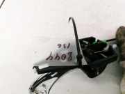 T?rinnengriff - Hinten Rechts Toyota RAV-4, III 2005.11 - 2012.12 Gebraucht,