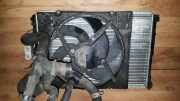 Kühlerlüfter Lüftermotor Renault Megane, I 1995.11 - 1999.02 Gebraucht,na