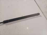 Gasfeder für Motorhaube Volkswagen Polo, IV 2005.04 - 2009.11 facelift Gebraucht , BNM