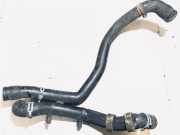 K?hlerschlauch Seat Ibiza, IV 2008.03 - 2012.06 Gebraucht,