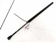 Gasfeder für Motorhaube Peugeot 607, 2000.01 - 2004.07 Gebraucht ,