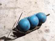 Druckspeicher Audi A6, C5 2001.08 - 2005.01 facelift 443131543,